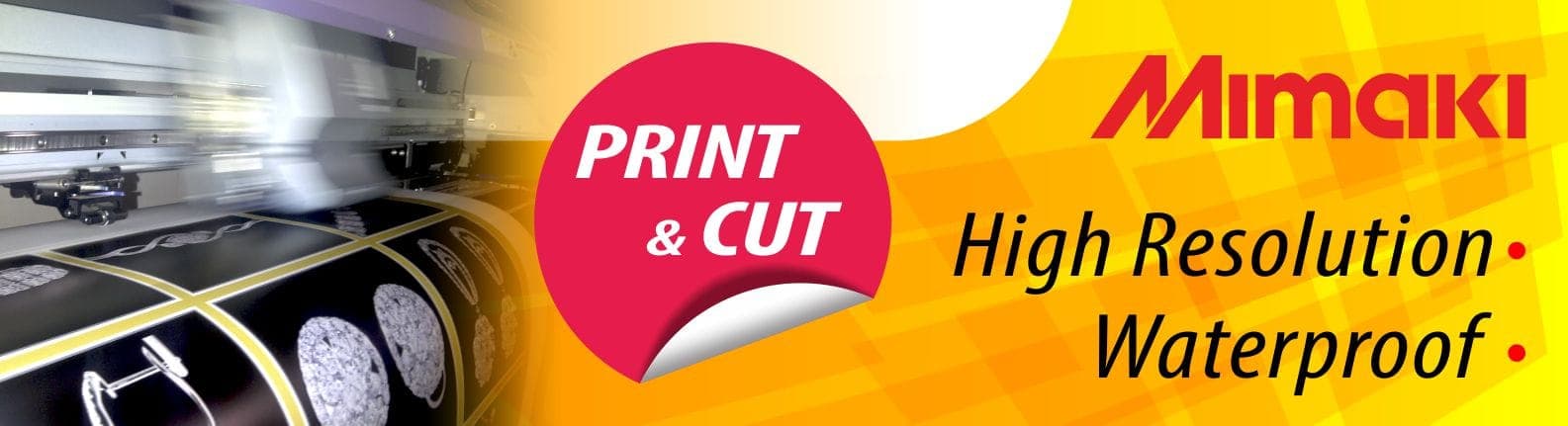 Professional Printing Services